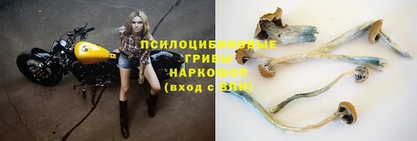 mix Белокуриха