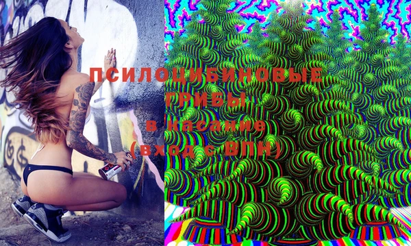mix Белокуриха