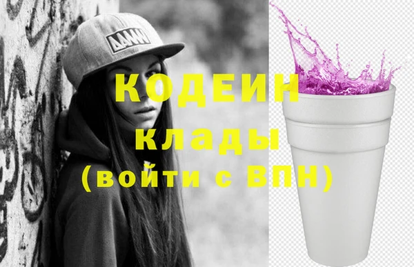 хмурый Каменка