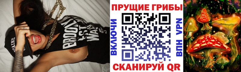 Псилоцибиновые грибы прущие грибы  blacksprut сайт  Кыштым 